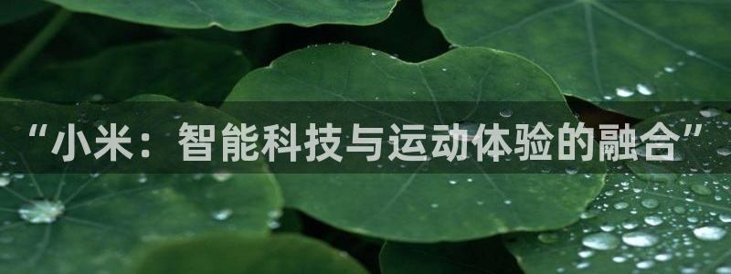 833体育在线直