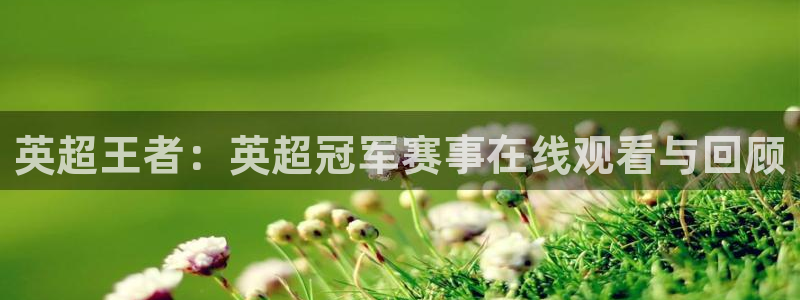 833足球直播