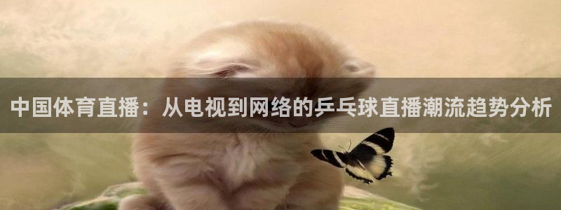 833nba直播：中国体育直播：从电视到网络的乒乓球直播潮流趋势分析