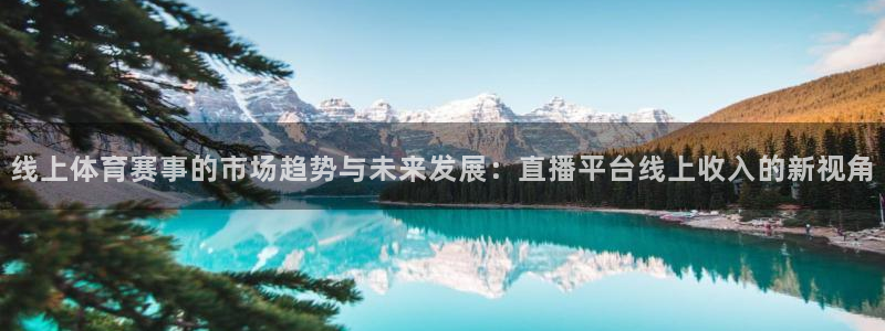 833体育直播免费观看：线上体育赛事的市场趋势与未来发展：直播平台线上收入的新视角
