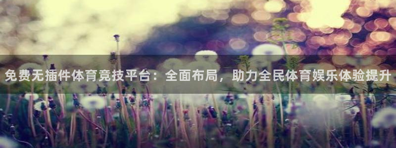 833足球免费直播