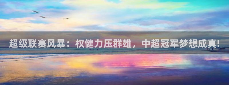 833直播篮球比赛在线观看：超级联赛风暴：权健力压群雄，中超冠军梦想成真!