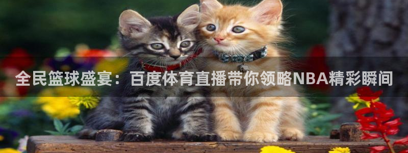 833直播比赛免费观看入口：全民篮球盛宴：百度体育直播带你领略NBA精彩瞬间