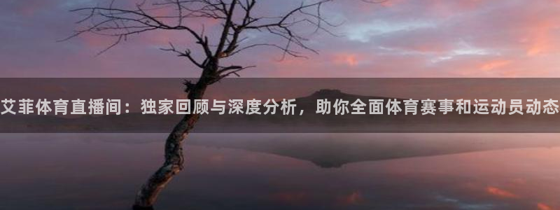833直播足球：艾菲体育直播间：独家回顾与深度分析，助你全面体育赛事和运动员动态